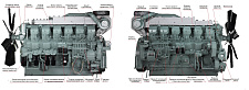 Дизельный генератор ТСС АД-1008С-Т400-1РМ8
